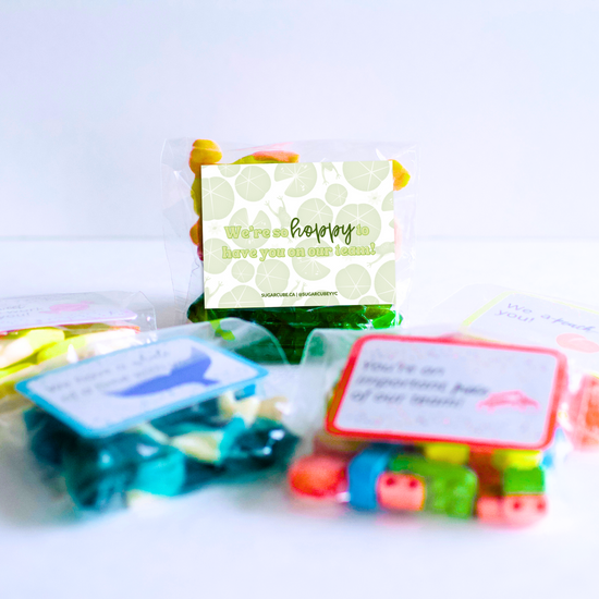 Spread the Joy - Candy Bag Package